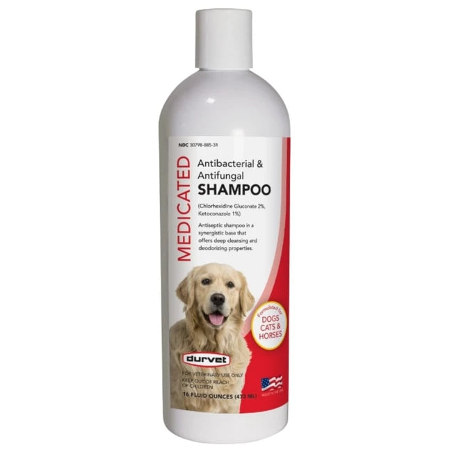 ANTIB & ANTIFUNGAL SHAM 16oz