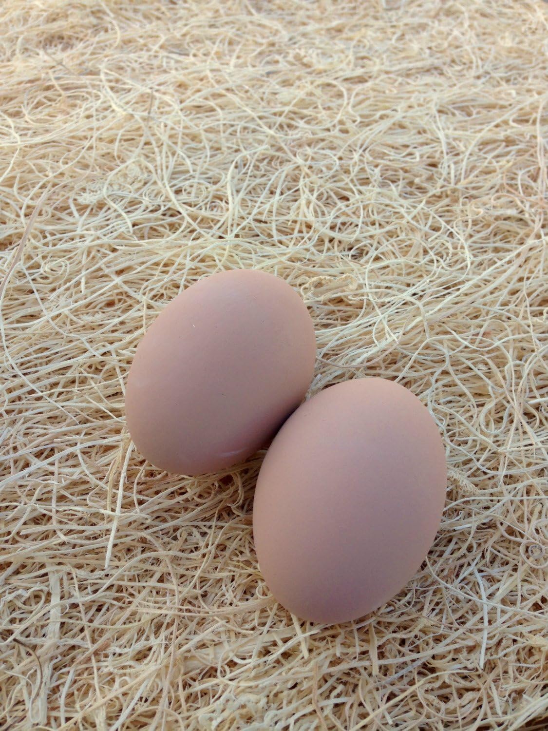 CERAMIC NEST EGGS 2PK BROWN