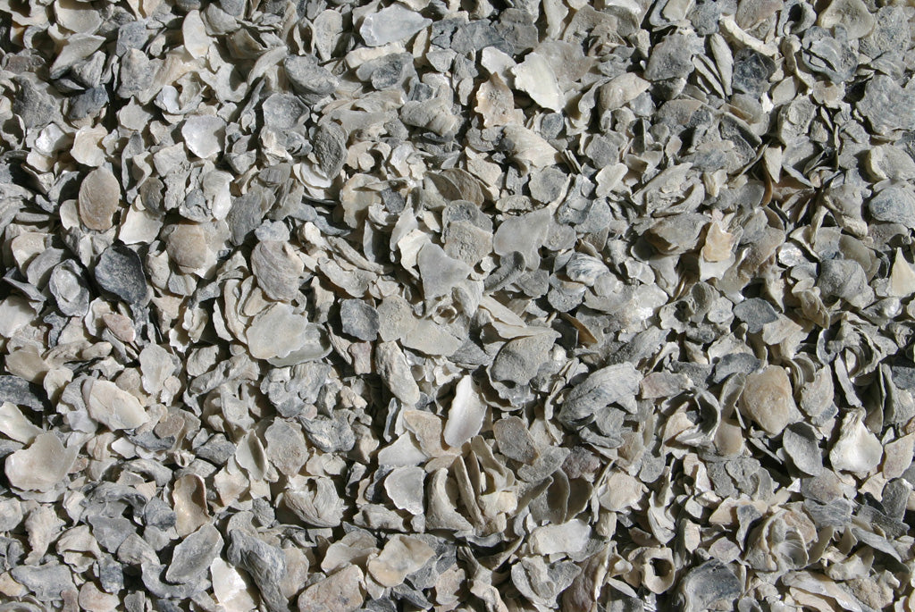 OYSTER SHELL 50 LB