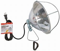 BROODER REFLECTOR W/CLAMP 6' C