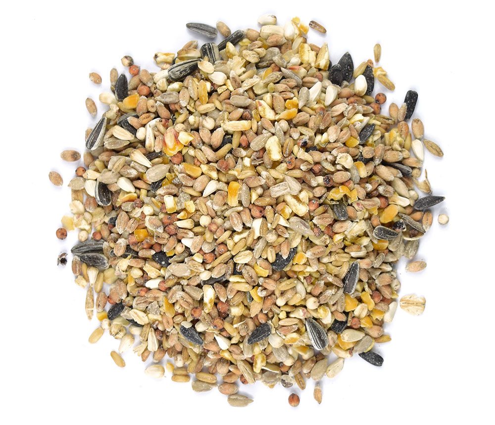 BULK WILD BIRD SEED