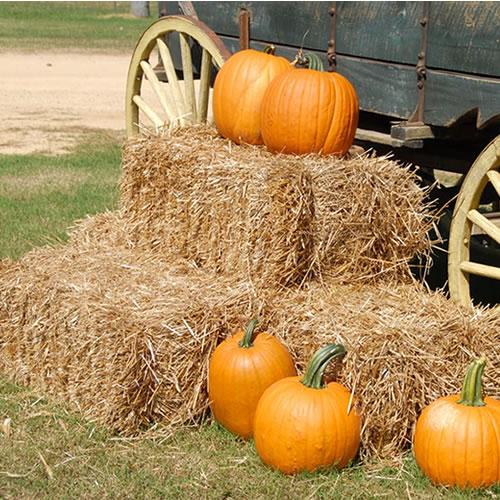 BALE OF STRAW