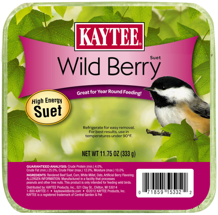 BERRY SUET FOR WILD BIRDS