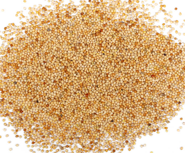 White Millet 50
