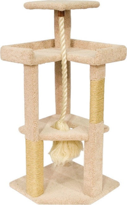 Ware Kitty Corner