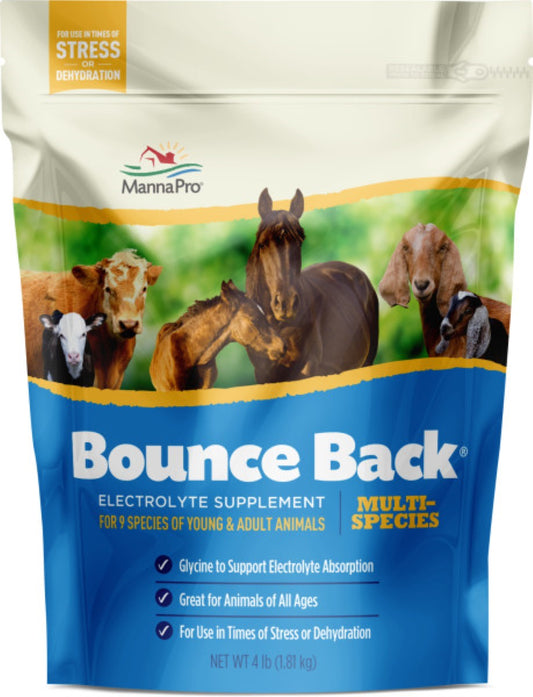 BOUNCE BACK ELECTROLYTE 4# POL