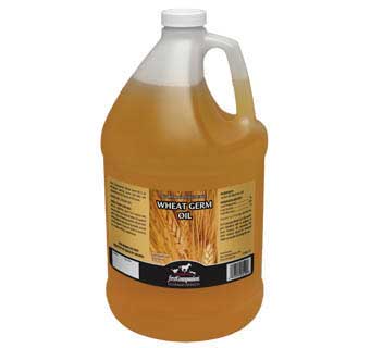 WHEAT GERM OIL 1 GAL