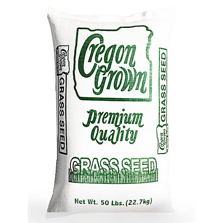 ANNUAL RYE GRASS SEED