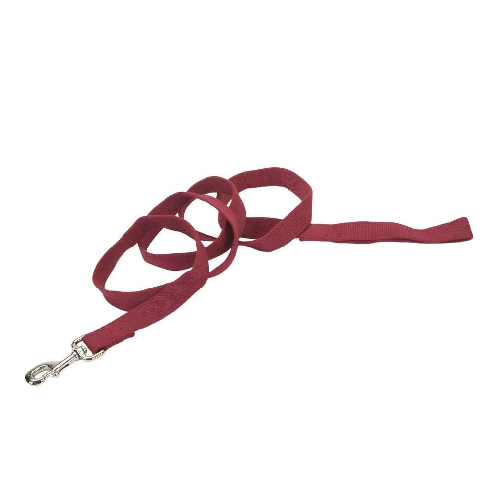 1" SOY LEASH
