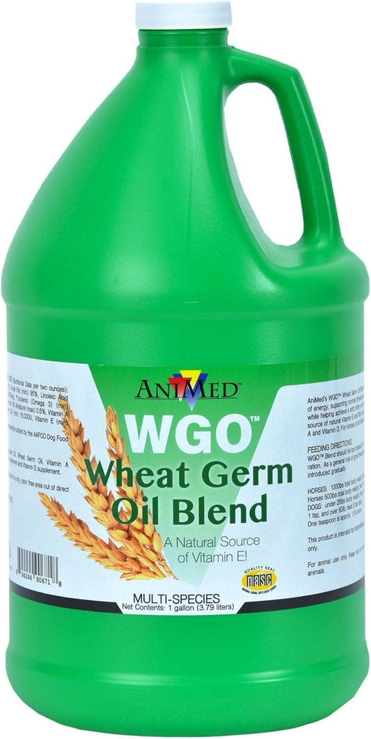 WHEAT GERM OIL 1 Gallon Bottle