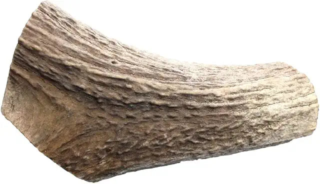 ANTLERZ NAT CHEW MONSTER