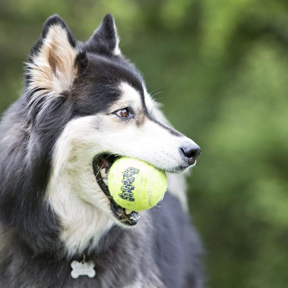 SQUEAKER TENNIS BALL