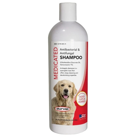 ANTIB & ANTIFUNGAL SHAM 16oz