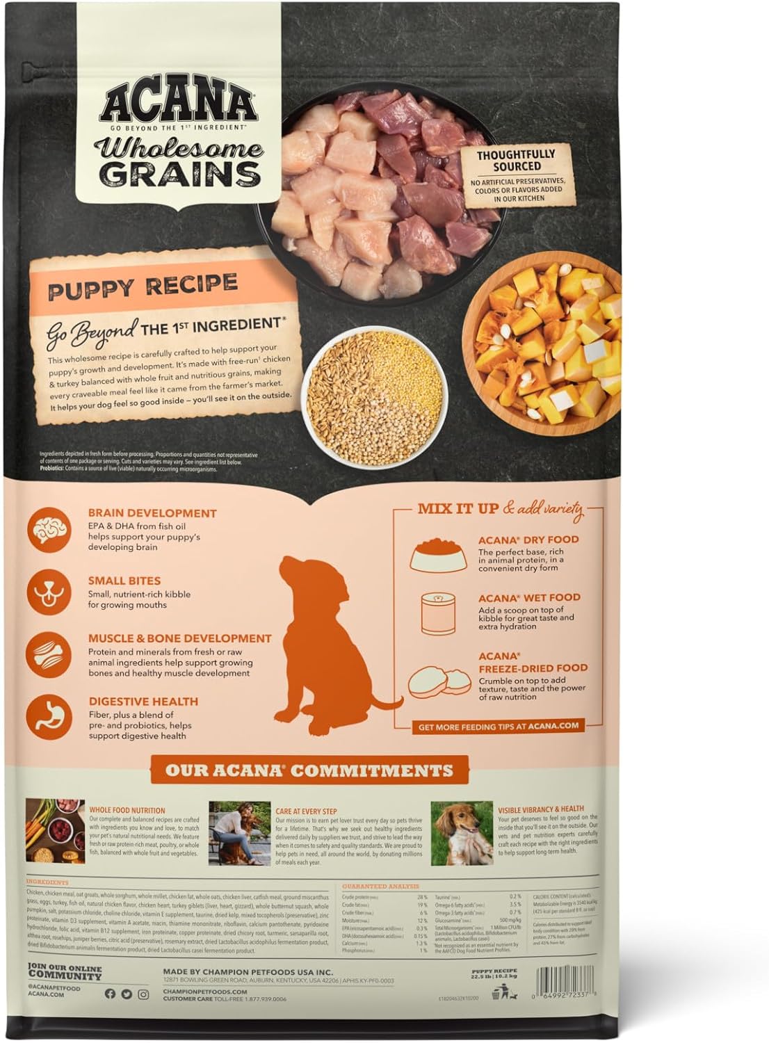 ACANA Wholesome Grains , Puppy Recipe, Real Chicken, Eggs and Turkey Dog Food Recipe, 22.5lb