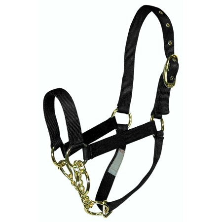 CALF HALTER CONTROL BLK