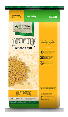 WHOLE CORN RECLEANED #50