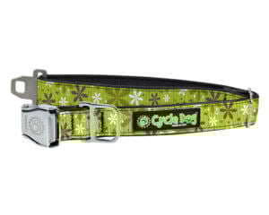 CDOG Collar Flower GRN Fat   M