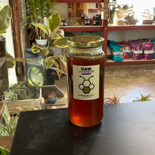 Boujikian Apiary Raw Local Honey- Pumpkin 16oz