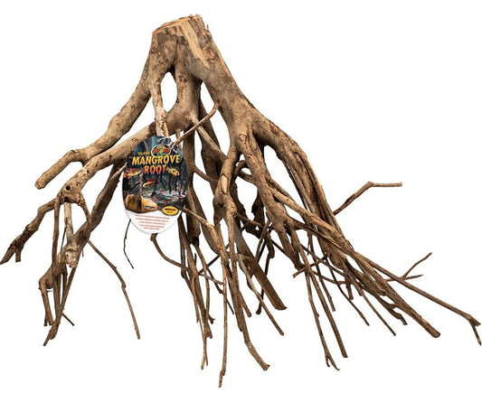 ZM MANGROVE ROOT