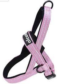 Alcott NOR HNS LG PK