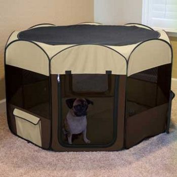 Ware Pop Up Playpen DLX Dog  L