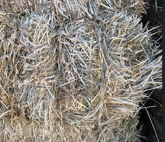 GRASS MOUNTAIN MEADOW  HAY
