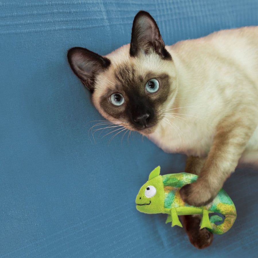 KON TOY CHAMELEON