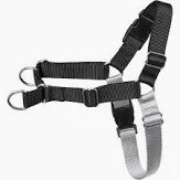 Alcott NOR HNS XL BK