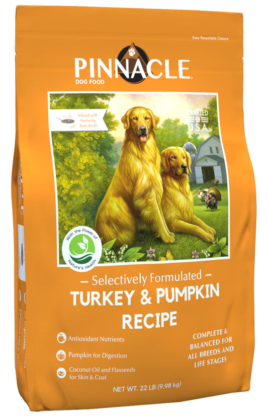 BCH DRY PN Turkey & Pumpkin 22