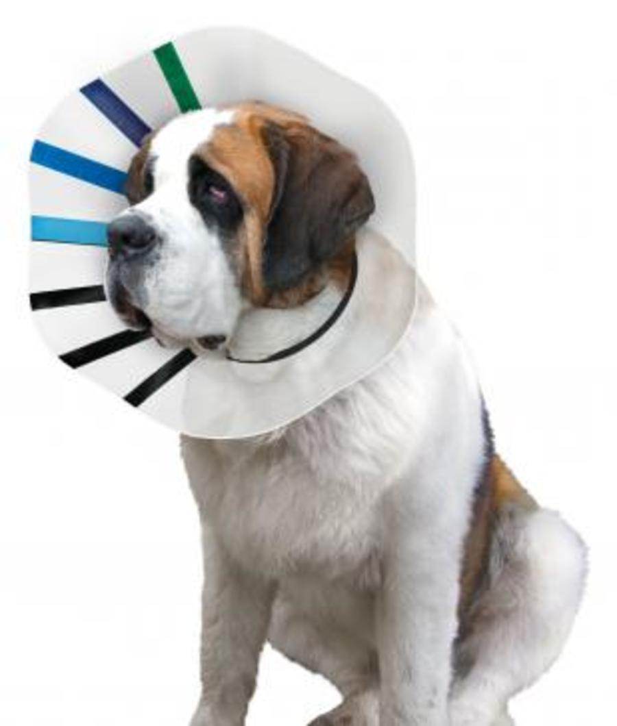 KONG E-COLLAR KONG KING 21-25"